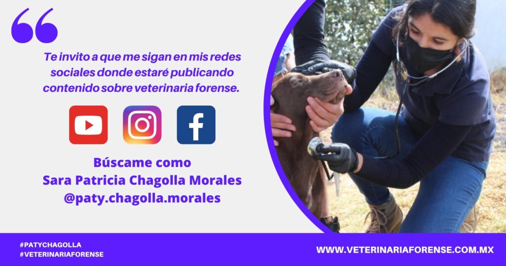 (c) Veterinariaforense.com.mx